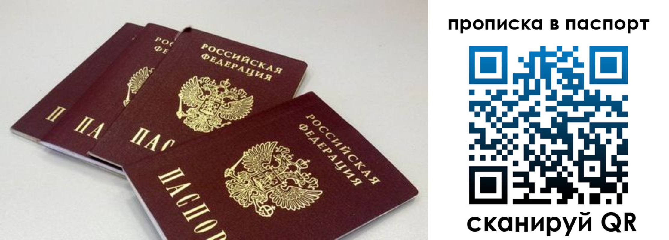найти адрес прописки в Невеле